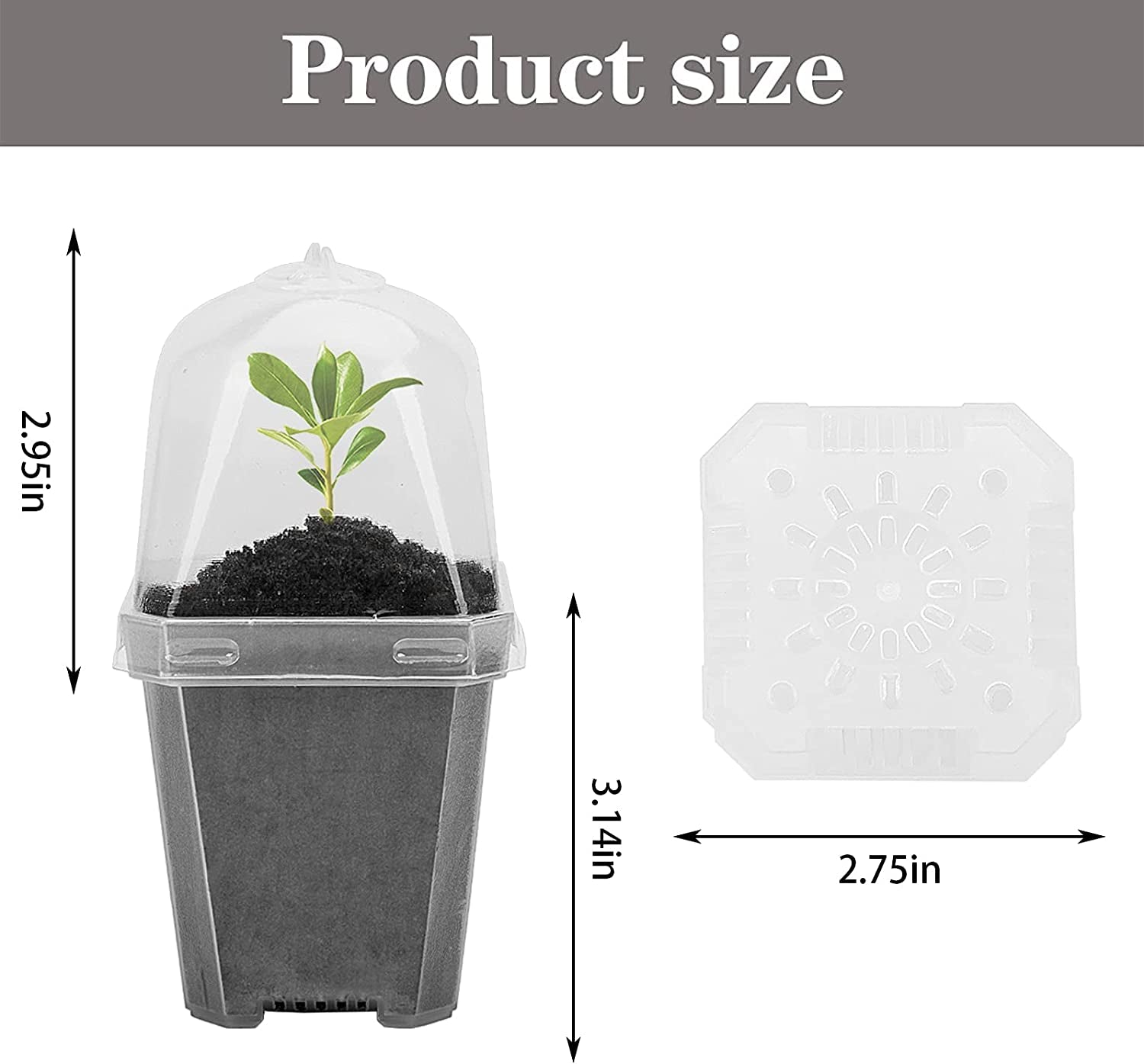 EBaokuup, Ebaokuup 30PCS Clear Plant Nursery Pots with Humidity Dome - 3" Durable Plastic Gardening Pot with Labels, Small Plant Container for Seedlings/Vegetables/Succulents/Cuttings
