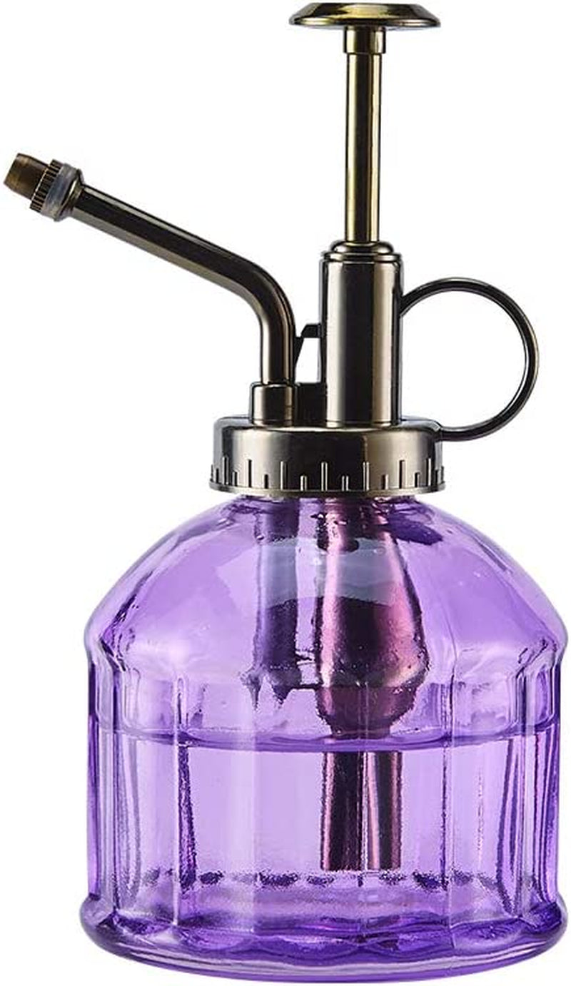 Ebristar, Ebristar Glass Plant Mister Spray Bottle, 6.5" Tall Vintage Plant Spritzer Watering Can, Succulent Watering Bottle with Top Pump, Small Plant Sprayer Mister for Indoor Outdoor House Plant - Purple