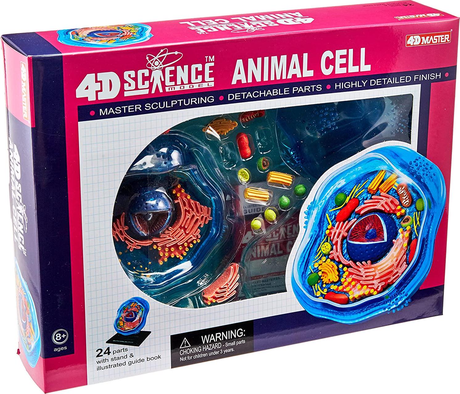 Fame Master, Famemaster 4D-Science Animal Cell Anatomy Model Coral, Black, Mint Green, Beige, Gold, Rose Gold